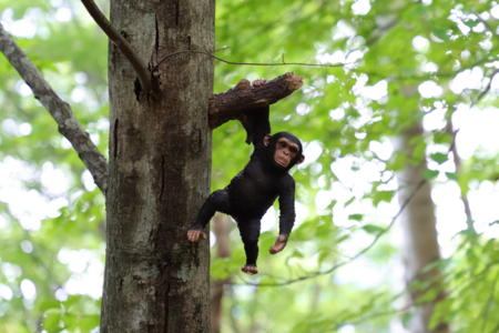 唐松平のオーナーパンチです