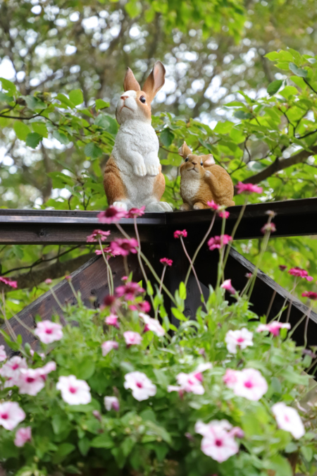 【みはらし台】ようこそ、みはらしへ