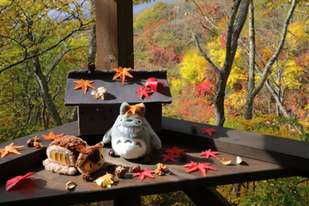 【もみじ】トトロもお出迎え