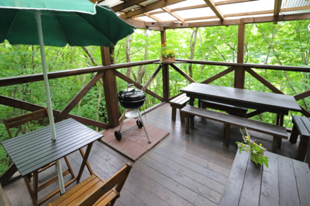 【もみじ】標高1000mの深ーい緑