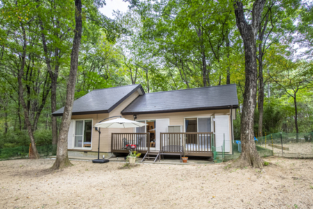 ドッグラン&外観