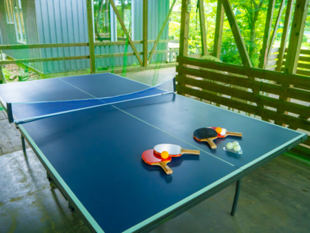 国際規格の卓球台でお楽しみください。