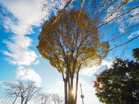 夢に出てきそうな風景です