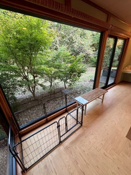 ワンちゃんOK！ペット専用フリーエリア！