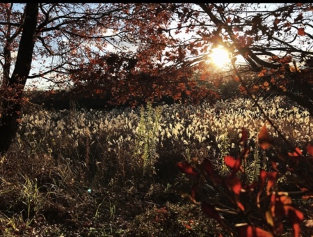 施設からみた景色