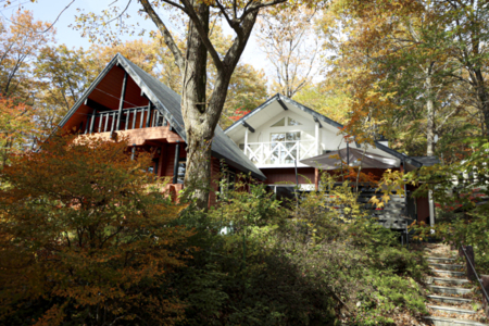 漆喰の壁のリビングと日田杉のログハウス